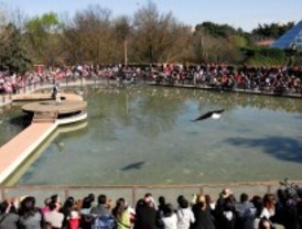 UGT y CC.OO han convocado una huelga de trabajadores del Zoo