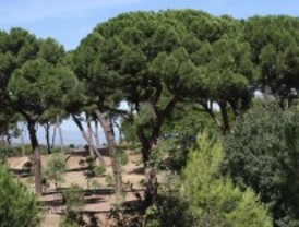 Los parques de Madrid están entre los mejores del país