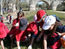 Alumnos de Las Rozas limpian el parque de Retamar