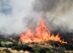 Incendio forestal en Campo Real.