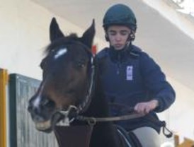 El Hipódromo de la Zarzuela cierra la temporada de otoño este domingo
