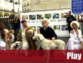 El Refugio presenta su calendario para promover la adopción de animales en 2012