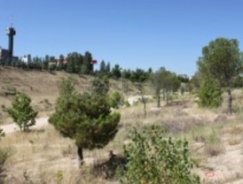 Pozuelo mejora el entorno de Arroyo Meaques