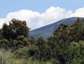 Más de 3.000 madrileños participan en las rutas por la Sierra Norte