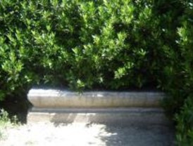 Villaverde inaugurará el Parque Lineal del Manzanares