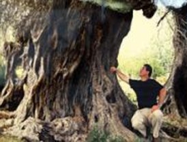 Los árboles, protagonistas de una exposición en el Paseo del Arte del Centro Puerta de Toledo