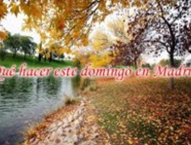 ¿Qué hacer este domingo, 27 de junio?