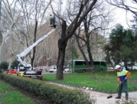Los trabajos de poda obligarán a cortar más de un centenar de calles esta semana