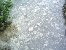Agua contaminada por medicamentos en los ríos de Madrid