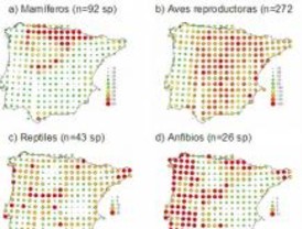 ¿Cumplen los Parques Nacionales y Naturales su función de proteger la biodiversidad ibérica?