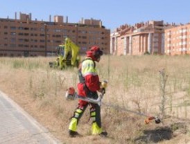 Medio Ambiente desbrozará 340 hectáreas este verano