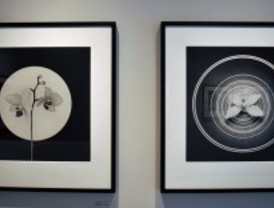 La vida no pasa de largo en PhotoEspaña