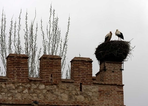 Alcalá presenta la ruta de las cigüeñas por su casco histórico