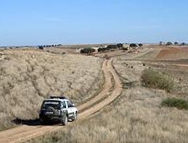 Los forestales recuperan la Cañada Real Soriana Oriental