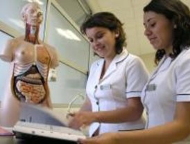 Satse lamenta la creación del auxiliar de consulta