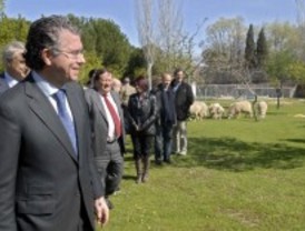 Nueve menores infractores serán auxiliares de veterinaria