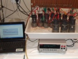 Bacterias eléctricas tocan música de Haendel en el estanque