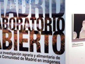 Una muestra reúne imágenes de las joyas de la biodiversidad vegetal madrileña