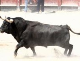 El Ayuntamiento de Leganés se hará cargo de los festejos taurinos de las fiestas