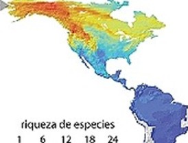 El impacto de las migraciones del Cenozoico