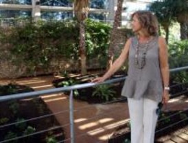 La Estufa Fría del Parque Juan Carlos I abre sus puertas tras ser rehabilitada