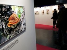 El Metro muestra las joyas de la agricultura madrileña