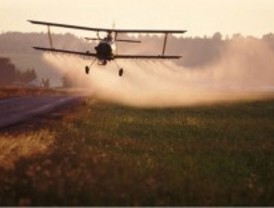 Los pesticidas siguen limitando la recuperación de la biodiversidad