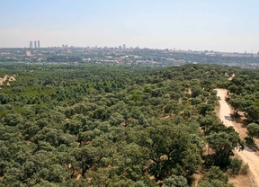 La privatización de la jardinería se extiende a los parques históricos