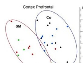 Detección precoz de enfermedades mentales con origen en el neurodesarrollo