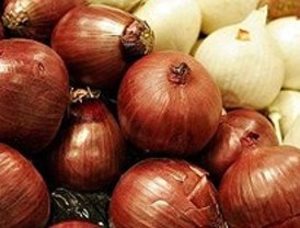El ajo y la cebolla, beneficiosos para la salud