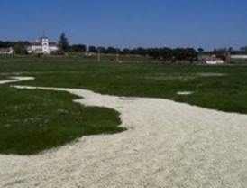 ¿Favorece un clima seco la diversidad acuática?