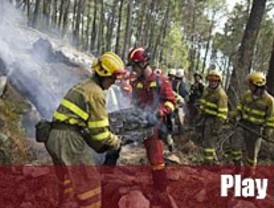 Los parados podrán ser 'reclutados' para recuperar suelo quemado