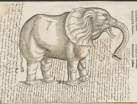 De la Historia Natural a la Biodiversidad: un pasaje de libro