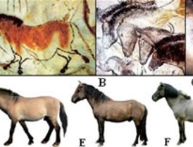 Caballos moteados en el paleolítico europeo. ¿Reales o imaginarios?