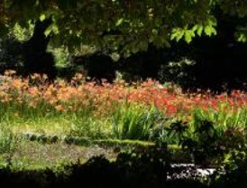 El riego inteligente optimizará el consumo de agua en el Jardín Botánico