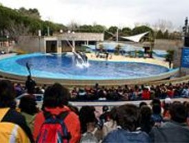 Alumnos de Las Rozas celebran el Día del Árbol en el zoo