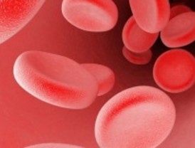 Descubren una proteína que puede regular la presión arterial