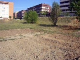 La Junta de Fuencarral desmantela un huerto comunitario