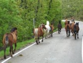 El PORN del Guadarrama da vía libre a un urbanismo limitado en el Valle del Lozoya