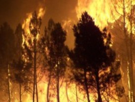 Los incendios forestales cada vez son más grandes y frecuentes