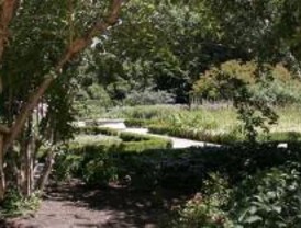 El Jadín Botánico acoge una exposición sobre la historia de la patata