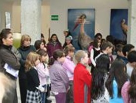 Una exposición de fotografía muestra la vida de las cigüeñas