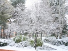 Coslada tiene ya preparado el dispositivo de emergencias ante las posibles nevadas