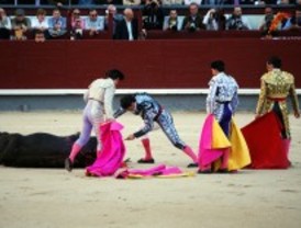 El 56 por ciento de lectores contra los toros