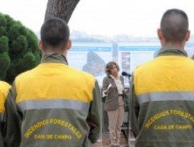 El mejor año en incendios forestales