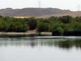 La Comunidad prepara un Plan Cinegético para Parque del Sureste