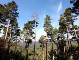 La ordenación de la Sierra del Guadarrama se atasca en los tribunales