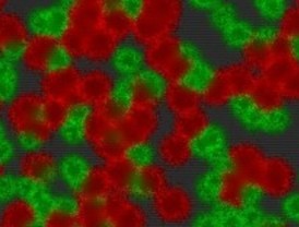 Estrategias básicas de los virus durante una infección