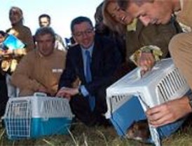 El 'pulmón' de Madrid se lava la cara