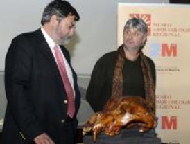 El Arquepológico Regional exhibirá el mayor cráneo de oso cavernario